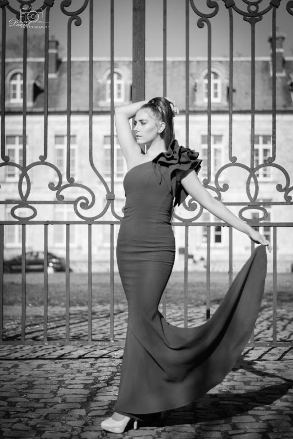 Chateau De Plessier-Roza Le Plessier-Rozainvillers 外观 照片